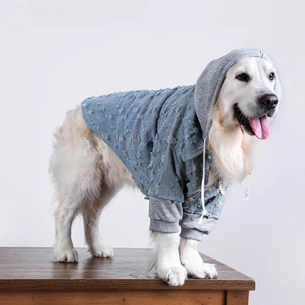 Hübsche zerrissene Denim Hund Hoodie Jacke Shirt Kleidung