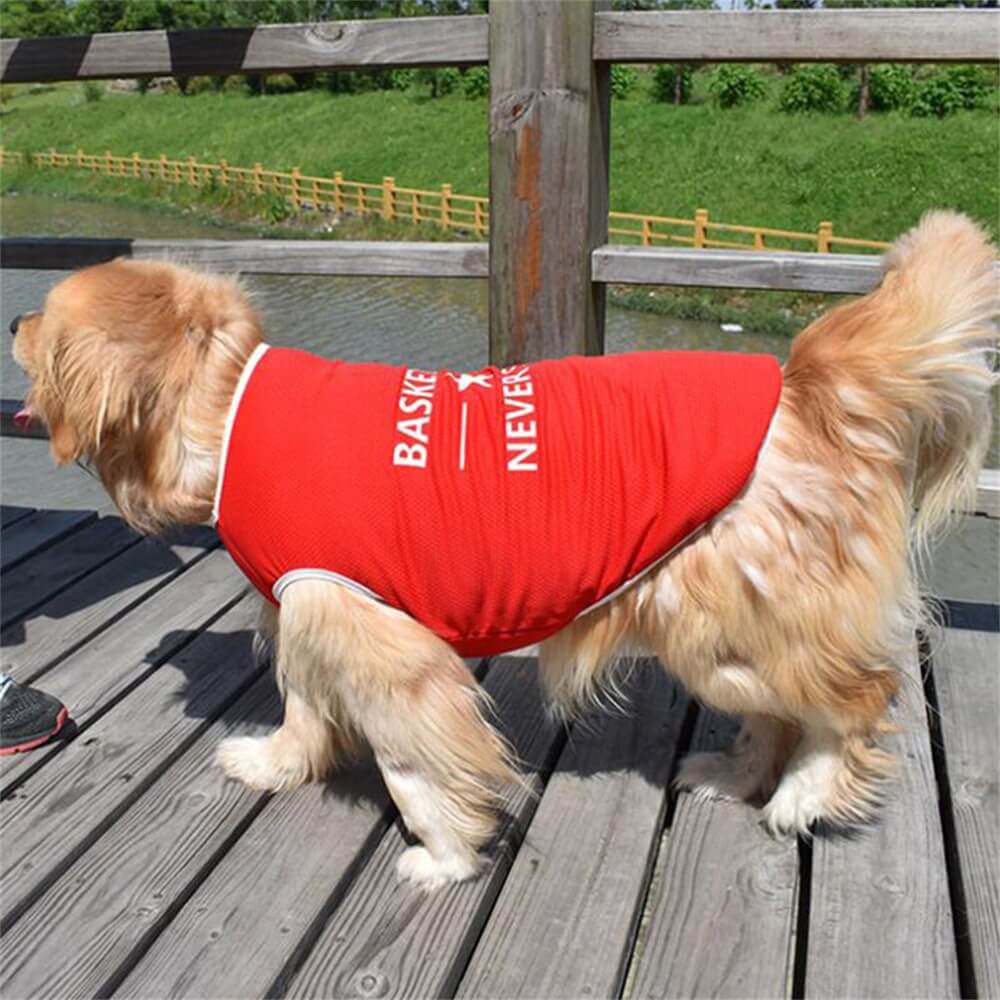 Große Hundekleidung Golden Retriever Labrador Sommerweste