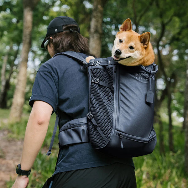 Hundetransport-Rucksack - Urbanes Herumstreifen