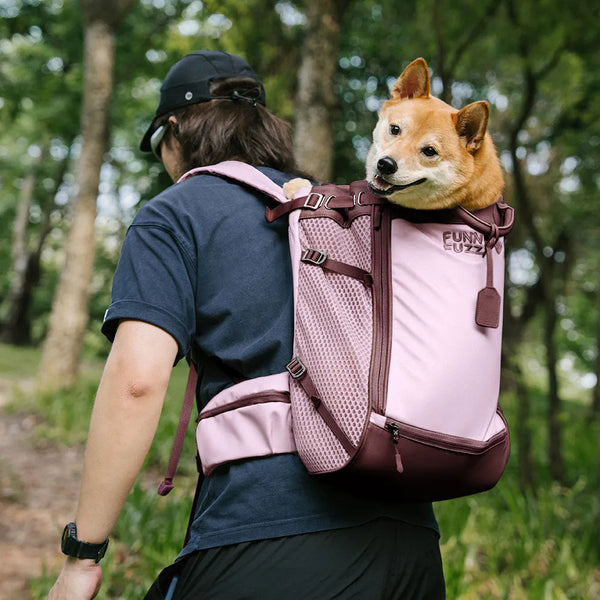 Hundetransport-Rucksack - Urbanes Herumstreifen