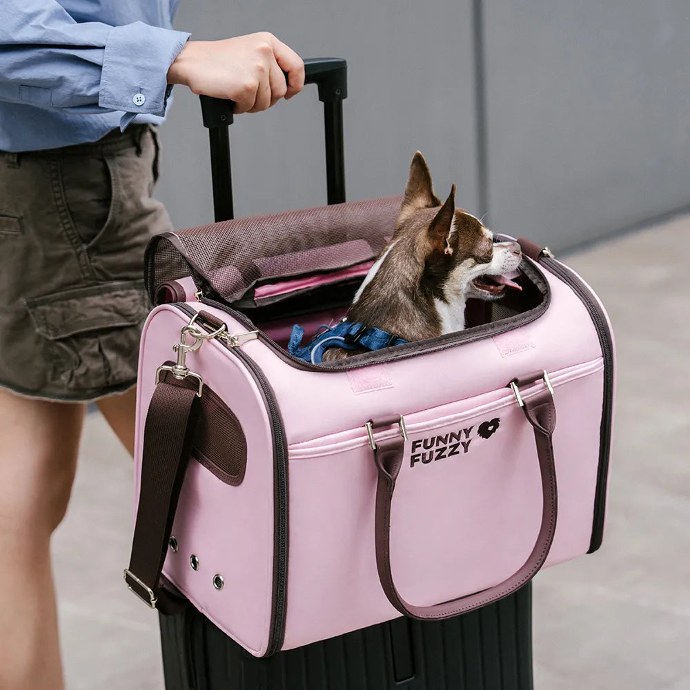 Hund Fluggesellschaft-konforme weiche Tragetaschen - Urbanes Herumwandern