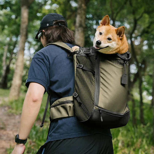 Hundetransport-Rucksack - Urbanes Herumstreifen