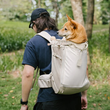 Hundetransport-Rucksack - Urbanes Herumstreifen