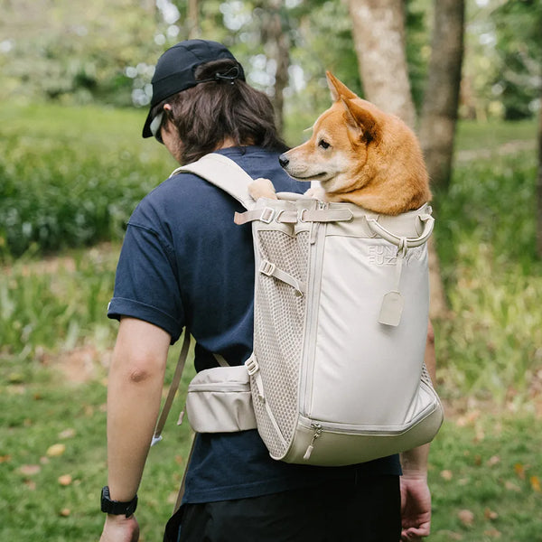 Hundetransport-Rucksack - Urbanes Herumstreifen