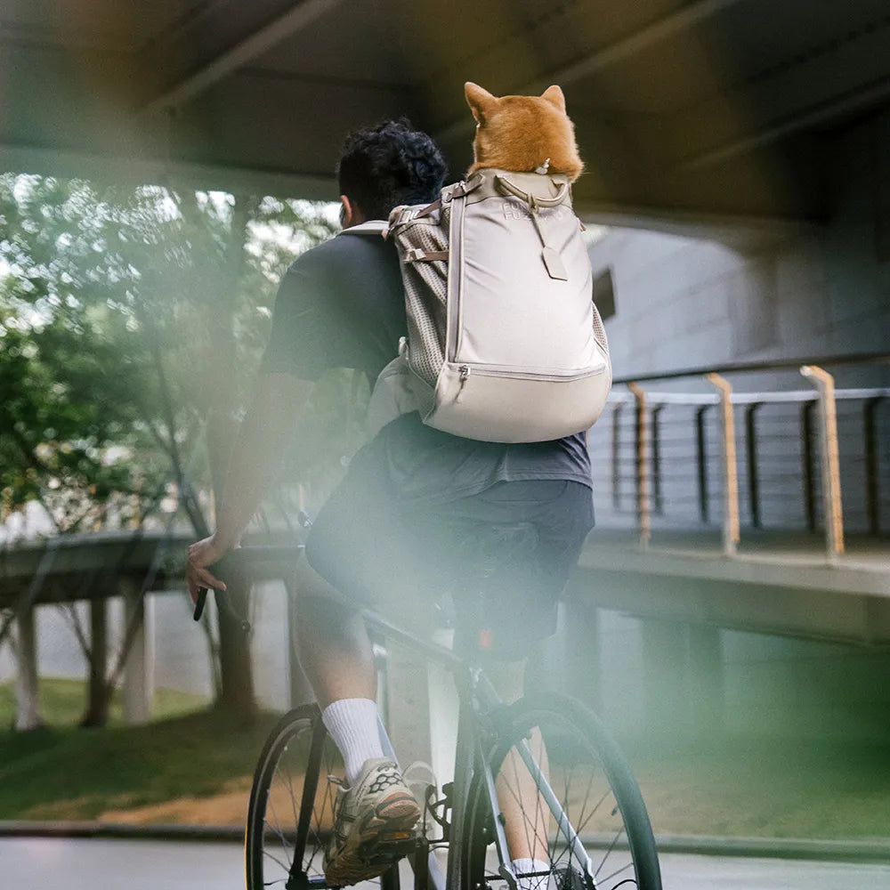 Hundetransport-Rucksack - Urbanes Herumstreifen