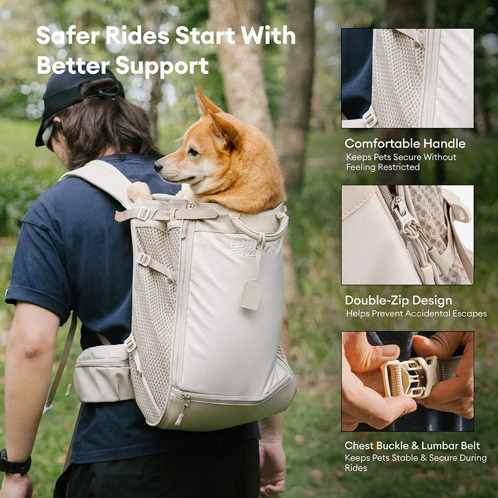 Hundetransport-Rucksack - Urbanes Herumstreifen