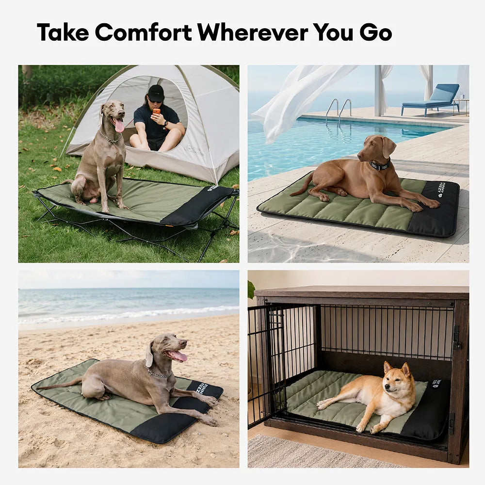 Transportable wasserdichte Hundematte - Urbanes Umherstreifen