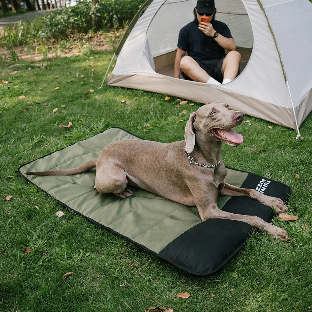 Transportable wasserdichte Hundematte - Urbanes Umherstreifen