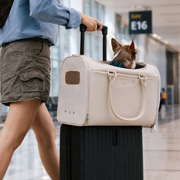 Hund Fluggesellschaft-konforme weiche Tragetaschen - Urbanes Herumwandern