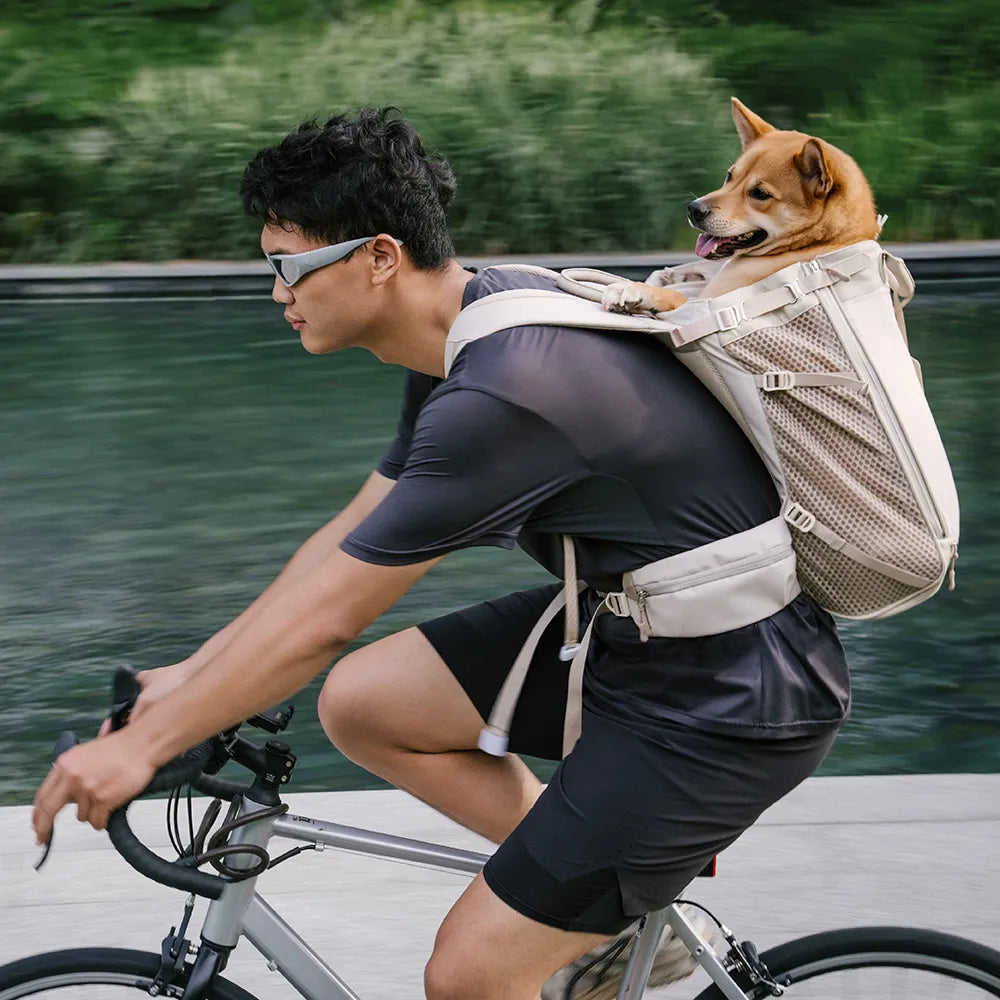 Hundetransport-Rucksack - Urbanes Herumstreifen