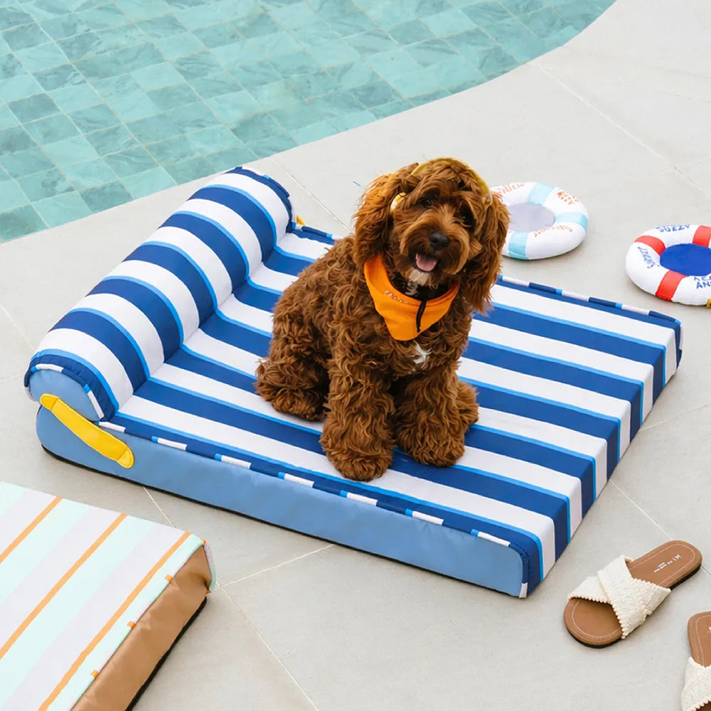 Kühlendes orthopädisches Hundebett für die Hundebox