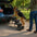 Reise Tragbar Faltbar 4-Stufen Rutschfeste Hund Auto Treppe