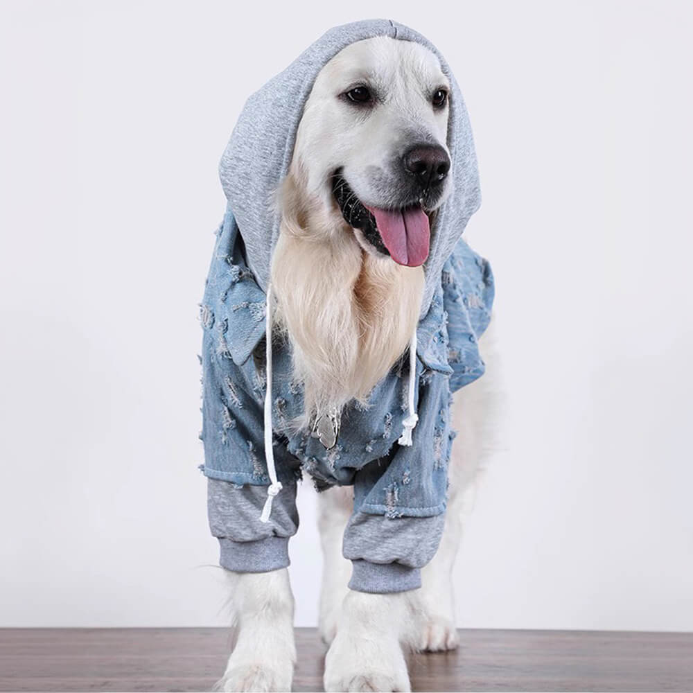 Hübsche zerrissene Denim Hund Hoodie Jacke Shirt Kleidung