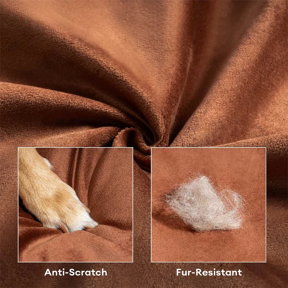 Deluxe Seidensamt Abnehmbares Bolster Orthopädisches Hundebett mit Kissen - RegalRest