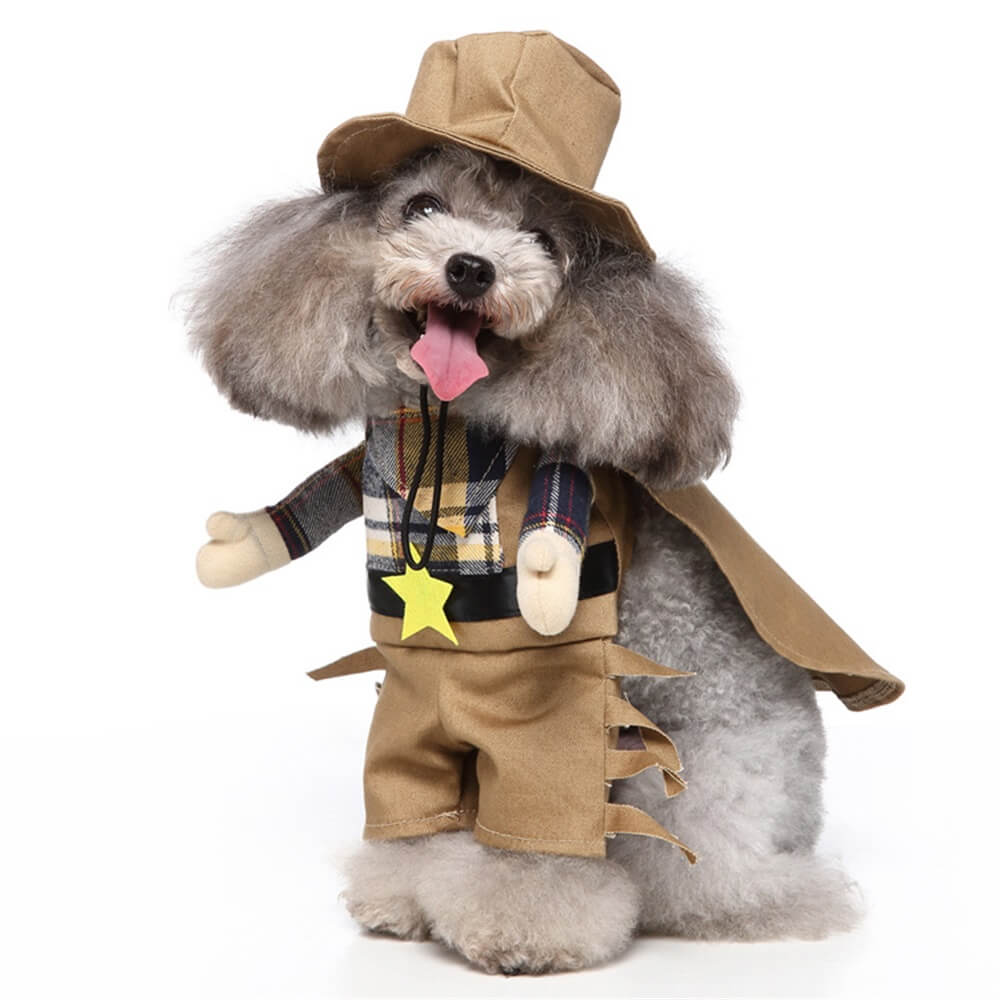 Lustige Cosplay-Hundekostüme für Halloween – Lustige und entzückende Haustier-Outfits