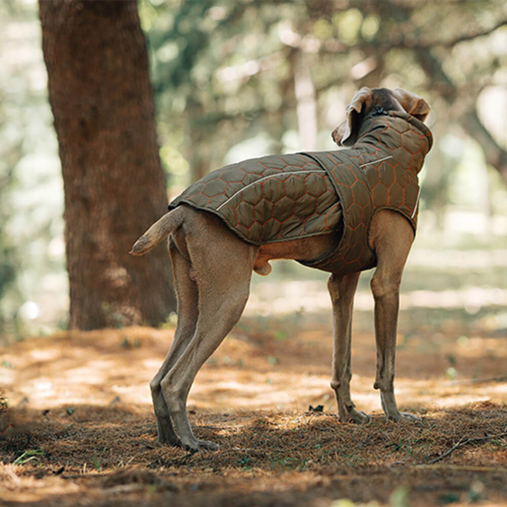 Gesteppte Outdoor-Hundeweste – warm und strapazierfähig für Wanderungen und Abenteuer