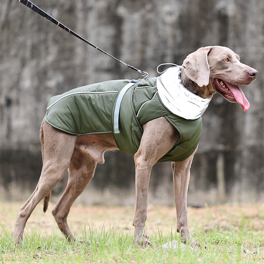 Wasserdichte Jacke Warme Hohe Kragen Reflektierende Hundekleidung