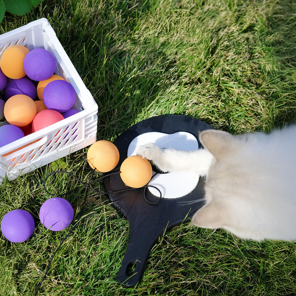 Tischtennisschläger mit Elastischer Schnur Interaktives Katzenspielzeug