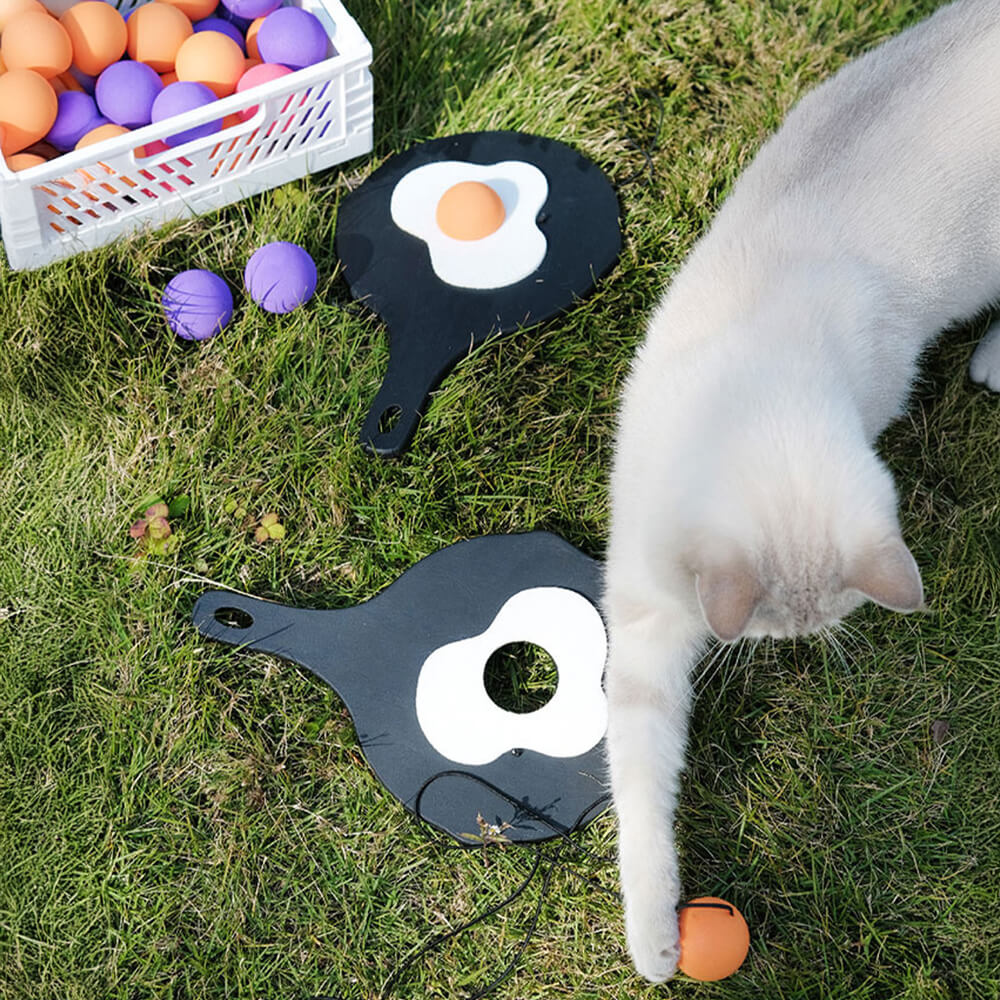 Tischtennisschläger mit Elastischer Schnur Interaktives Katzenspielzeug