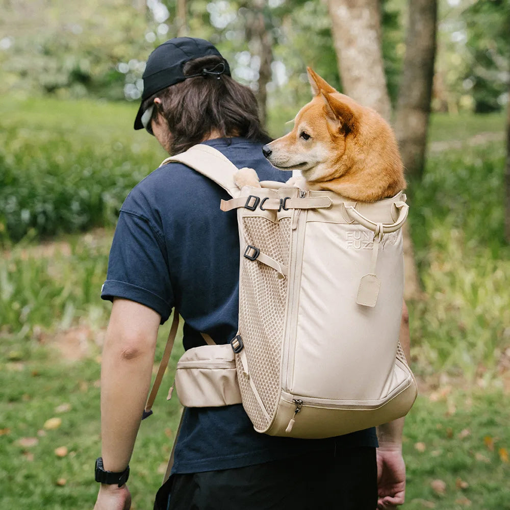 Hundetransport-Rucksack - Urbanes Herumstreifen