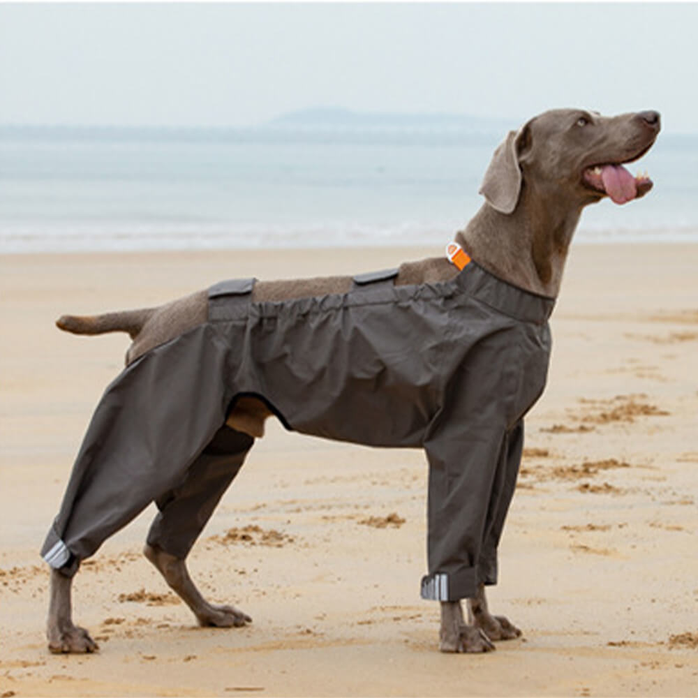 Wasserdichter Regenmantel für Vierbeinige Hunde im Freien mit Kapuzenpullover mit Reflektierendem Muster