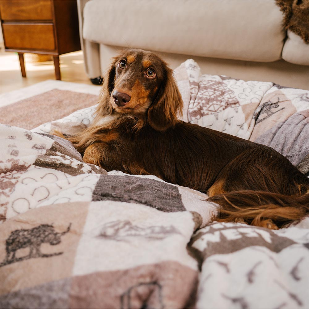 Waschbares Beruhigendes Rundes Hundebett im Boho-Vintage-Stil mit Quasten - Hunter Night