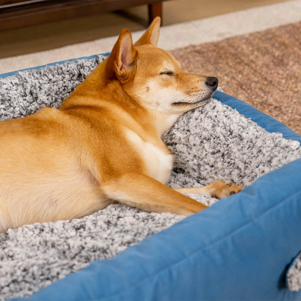 Großes Gemütliches Nackenrollen-Hundebett mit faltbarer Steppdecke – Azure Pupnap