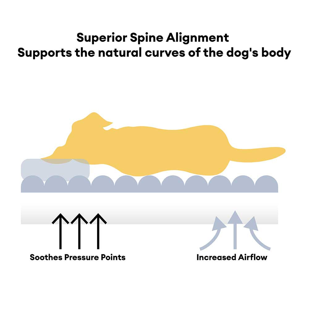 Großes Weiches Stützendes Orthopädisches Hundesofabett mit Kopfstütze - Cloudy Napper