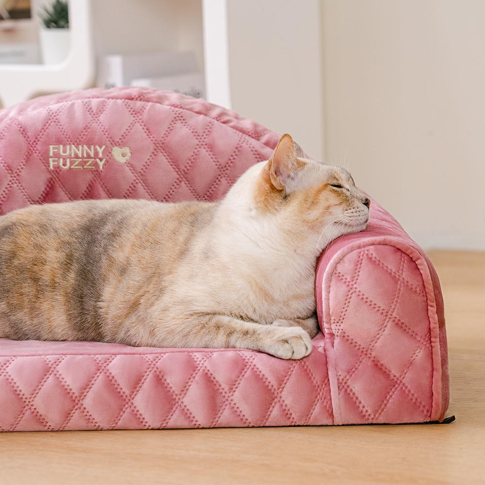 Pinky Gemütliches Indoor-Sofa Beruhigendes Katzenbett - Prinzessin Lord