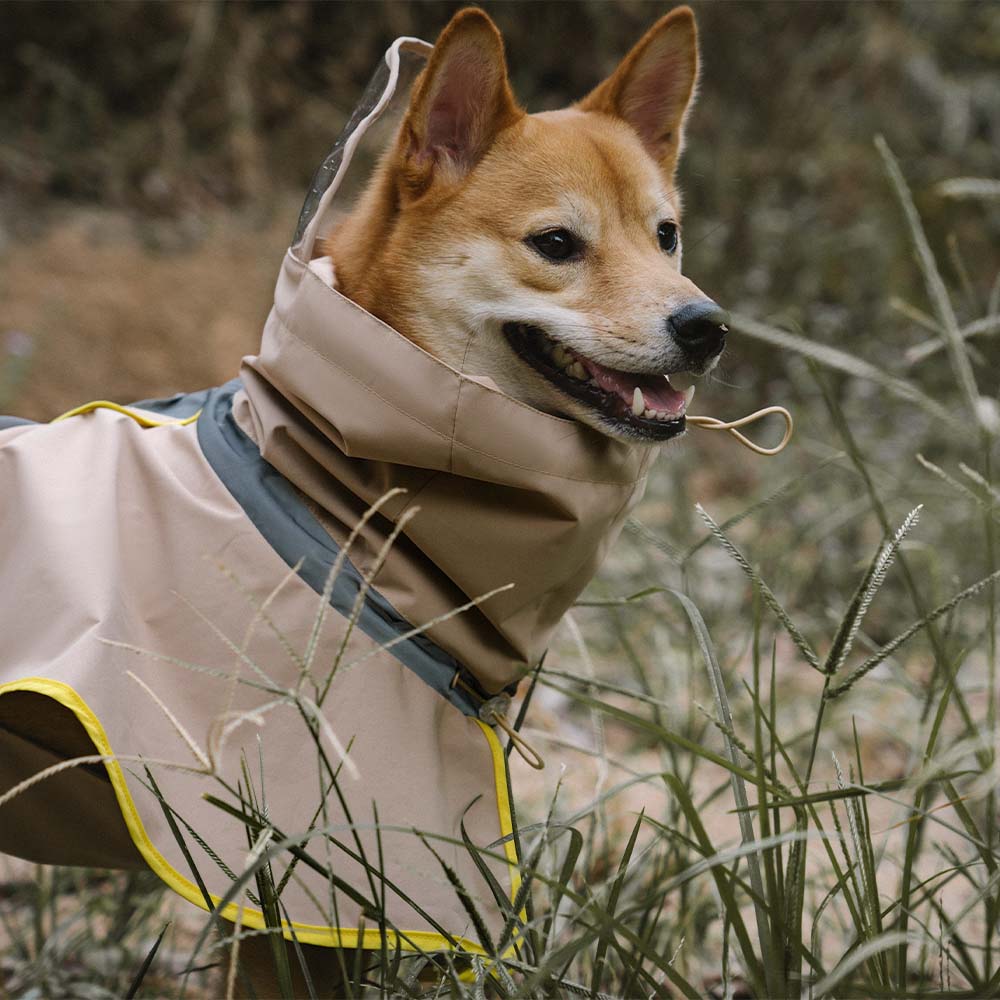 Verstellbarer Reflektierender Wasserdichter Regenmantel mit Tasche für Hunde und Menschen