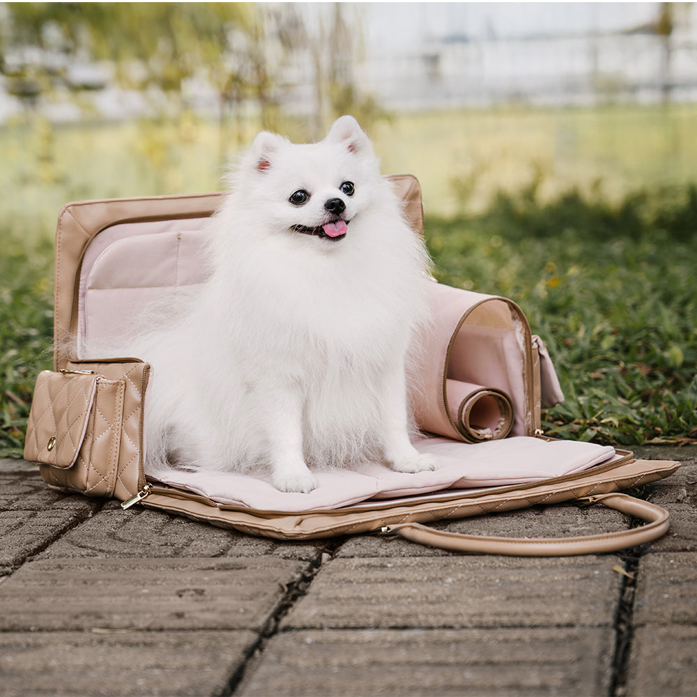 Große Stilvolle Multifunktionale Reisetasche für Mensch und Hund – Wandering Tail