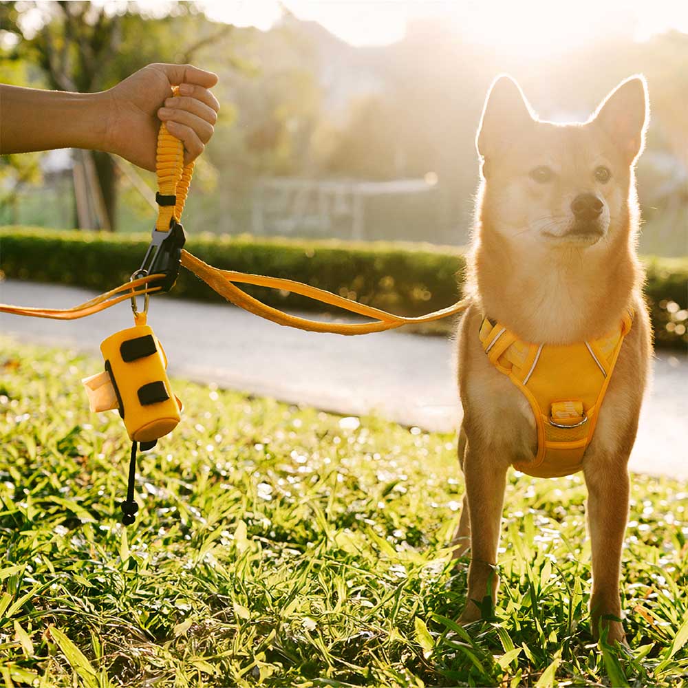 FUNNYFUZZY Wasserdichter Leine anbringbar Kotbeutelspender - Flexi Walker