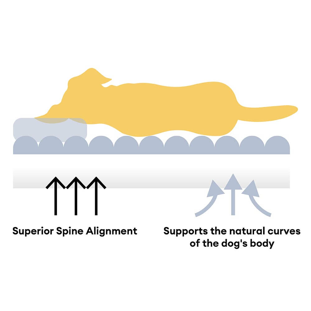 Großes Orthopädisches Hundebett mit Klassischem Karomuster und Kopfstütze Rechteckig - Dreamy Wave