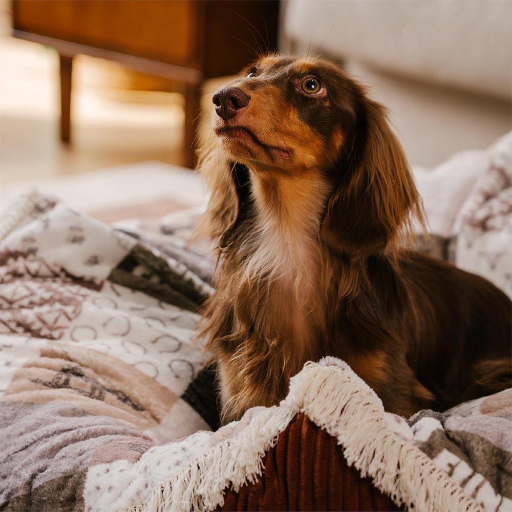 Waschbares Beruhigendes Rundes Hundebett im Boho-Vintage-Stil mit Quasten - Hunter Night