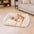 Orthopädisches Plüsch-Hundesofa mit abnehmbarem Keilpolster – CozySlope