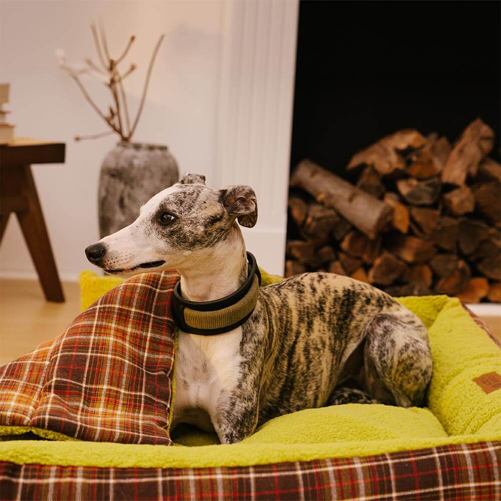 Große Waschbare Hundebettdecke im Vintage-Tartan-Stil Faltbar – Avocuddle