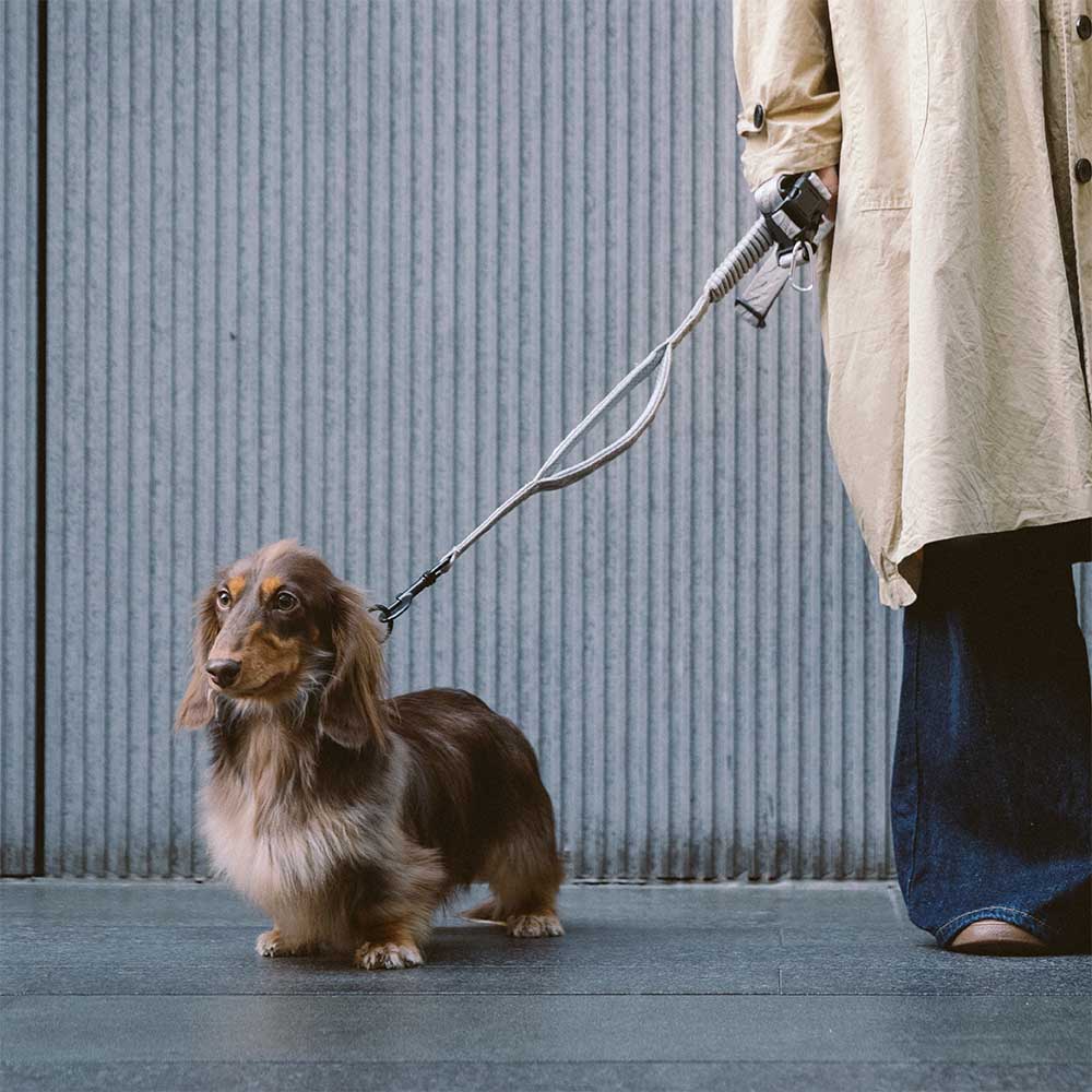 Beidseitig Reflektierende Verstellbare Vielseitige Nylonleinen mit weichem Griff für große Hunde - Flexi Walker