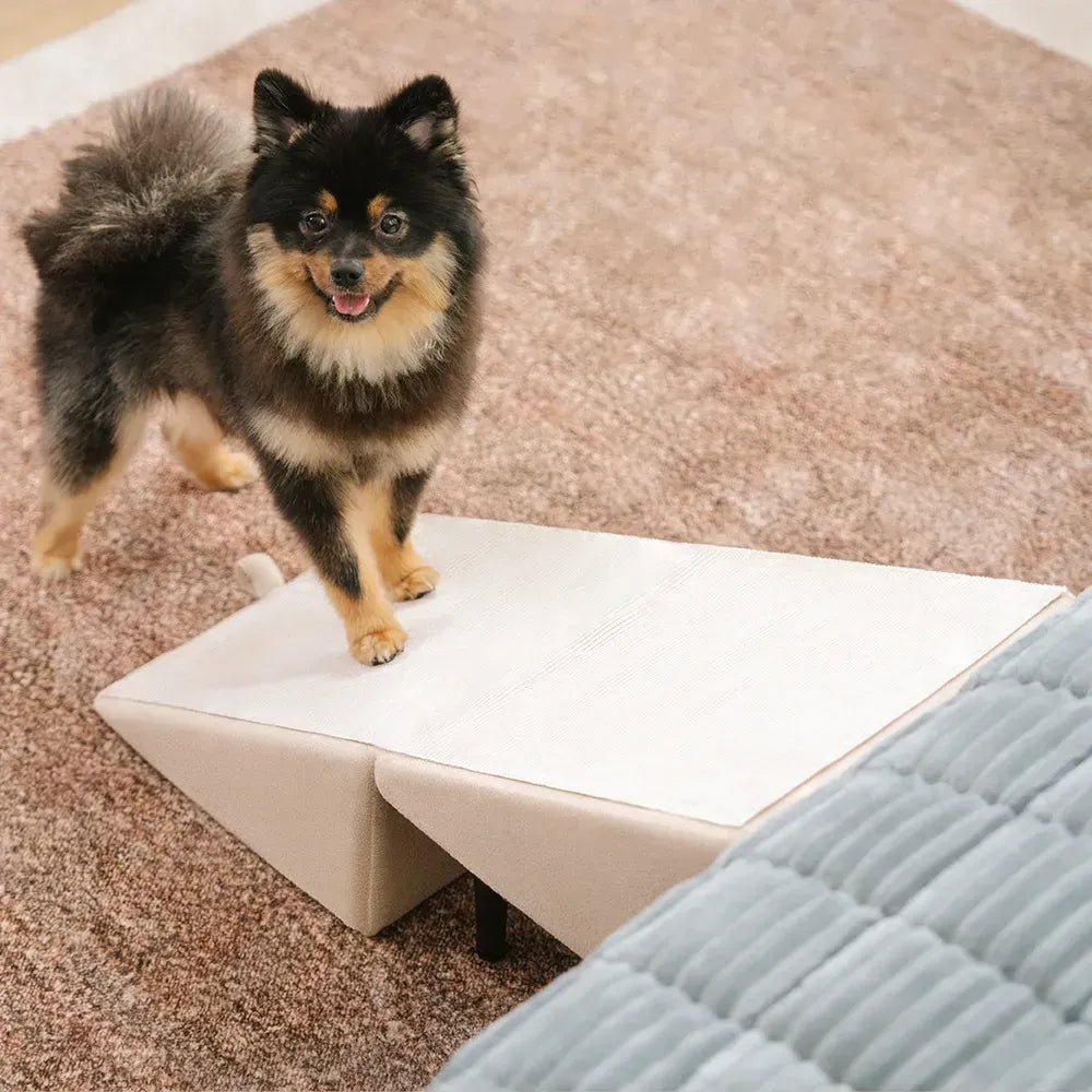 2-in-1 umwandlungsfähige Holz-Haus-Schrittleiter Hunderrampe Treppe - Haustiervfreundliches Schlafzimmer