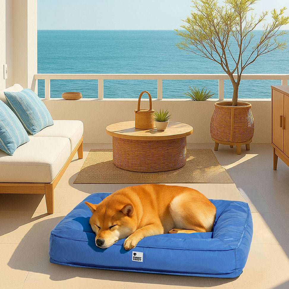 Vollständig orthopädische Umgebungsunterstützung wasserdichtes großes Hundebett - Haustierfreundliches Schlafzimmer