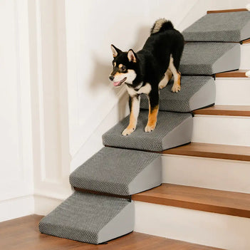 Modulare Schaumstoff-Hundetreppe für Treppen mit Klettverschluss