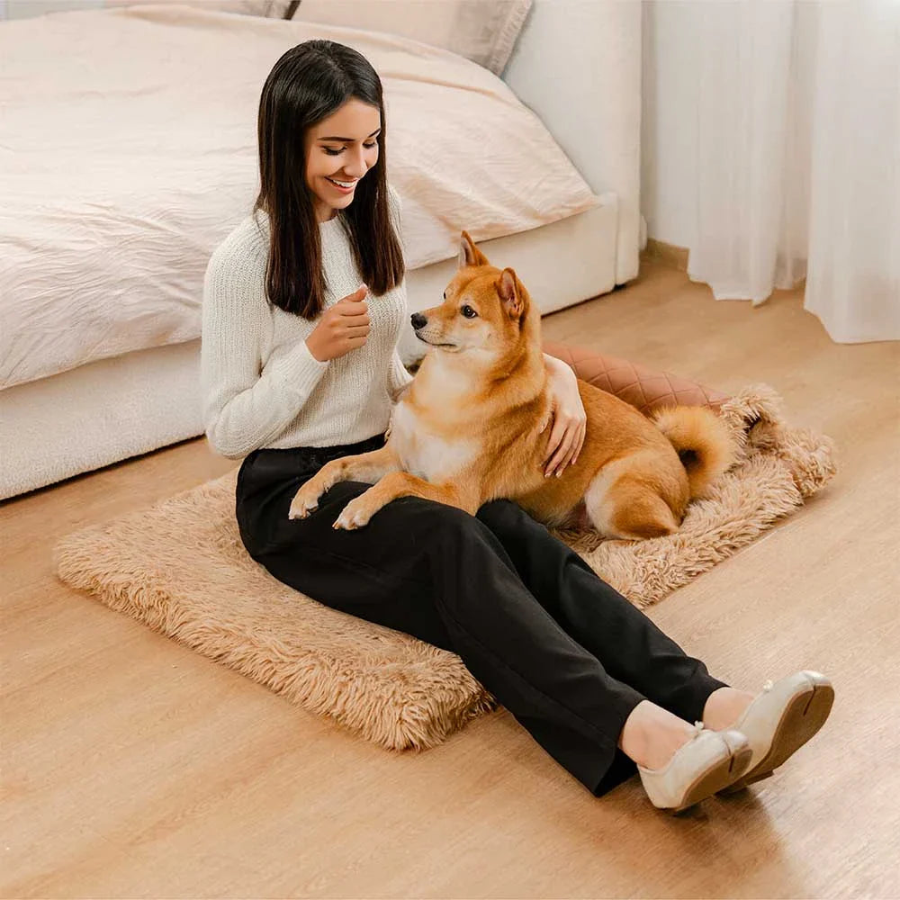 Orthopädische Hundematte, zweiseitig aus Kunstleder und Plüsch, mit herausnehmbarem Schaumstoff und Kissen