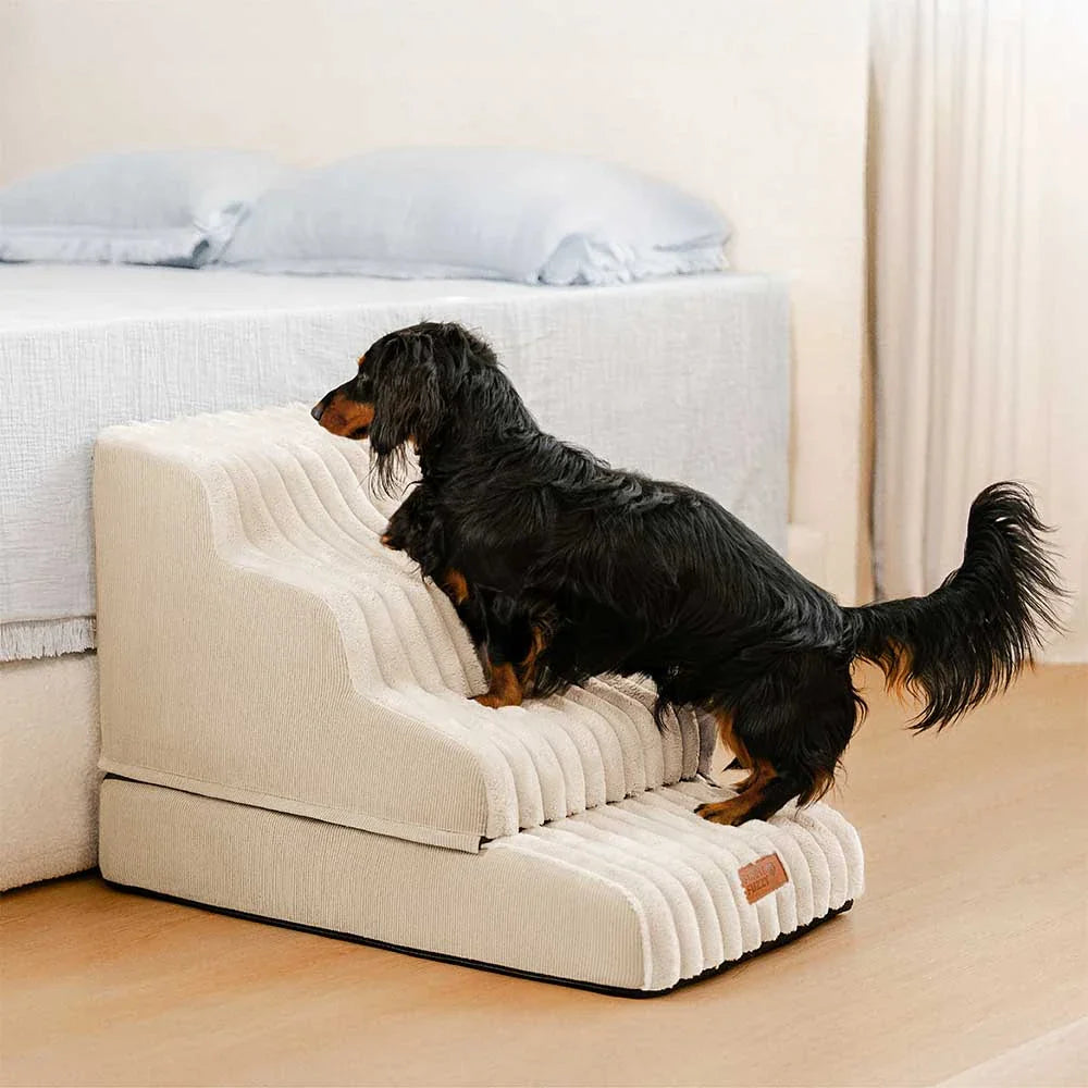 2-in-1 Flauschleiter und Bett für Haustiere – CreamyRamp