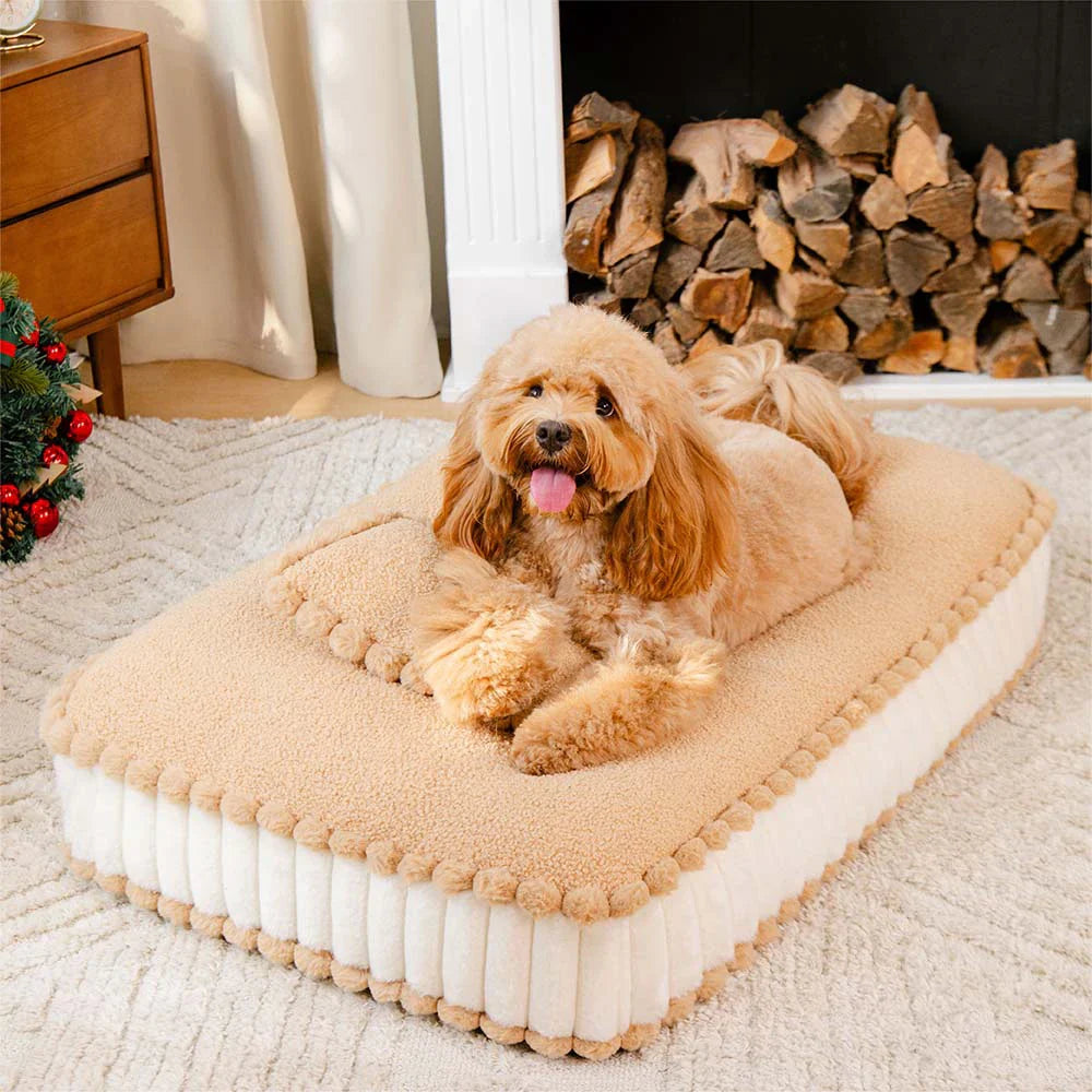 Bequeme plüschige, keksartige orthopädische Hundebett mit Kissen – SweetNap