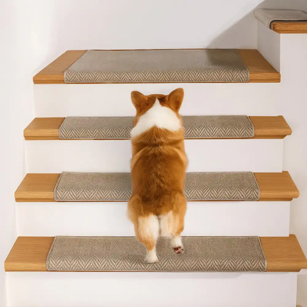 Federbein verschleißfeste Treppenschutzband für Teppichtreppen