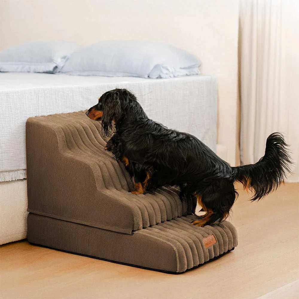 2-in-1 Flauschleiter und Bett für Haustiere – CreamyRamp