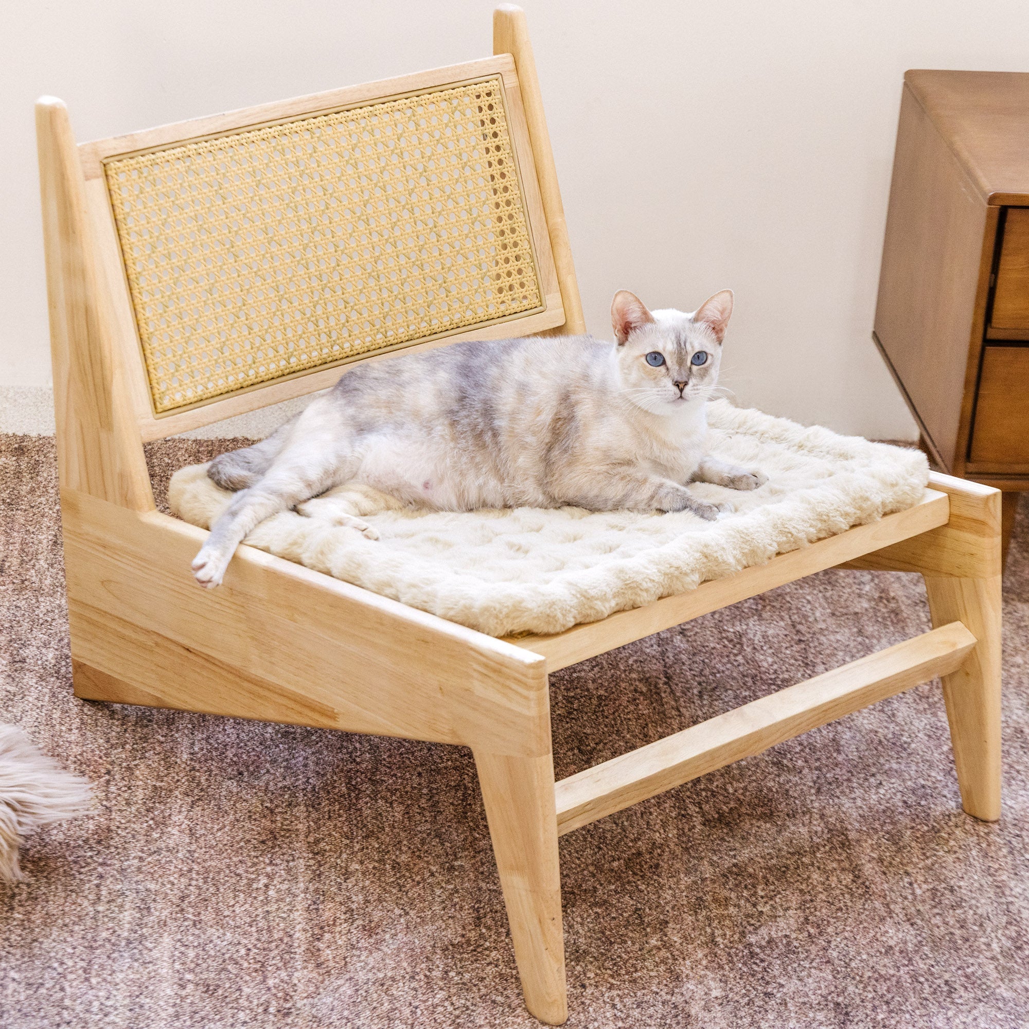 Fluffy Plüsch Kunstpelz Warme Haustiermatte Rutschfeste Couchdecke