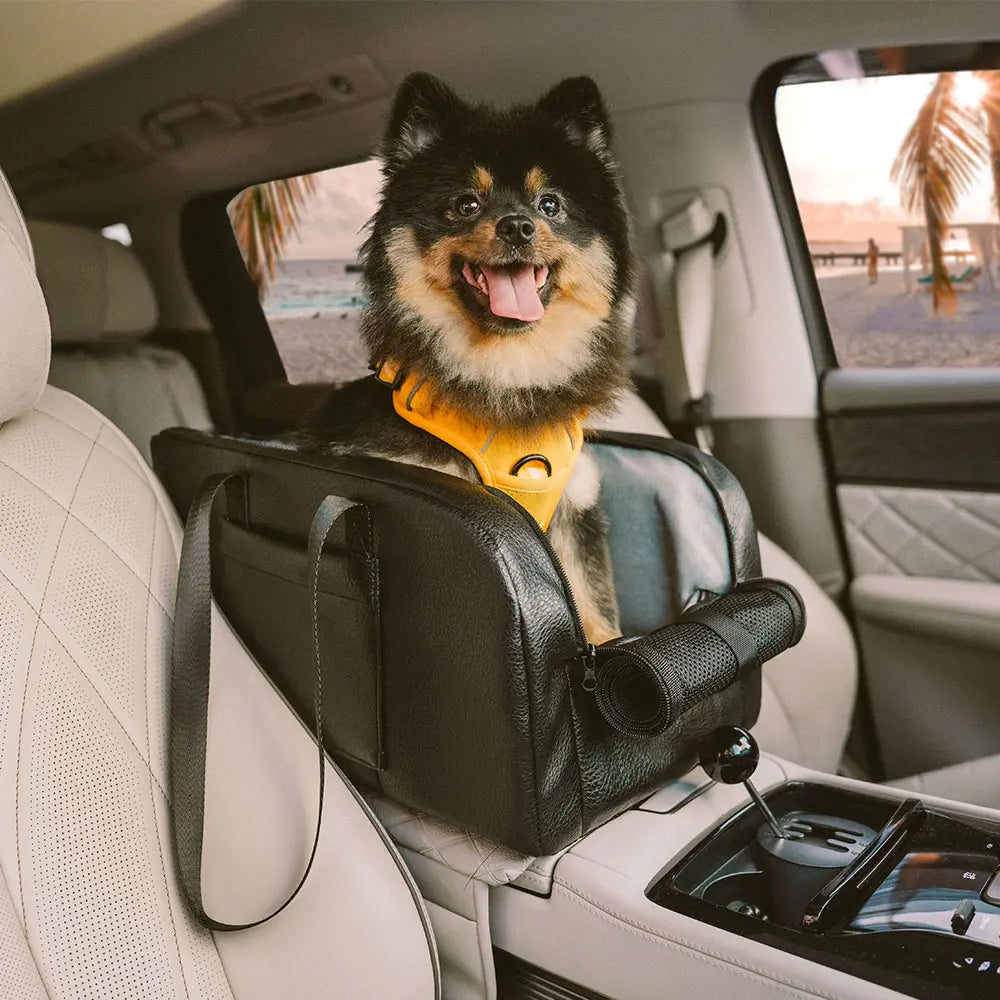 Erhöhter abnehmbarer Autositz für kleine Hunde Sichere Reise auf der Mittelkonsole