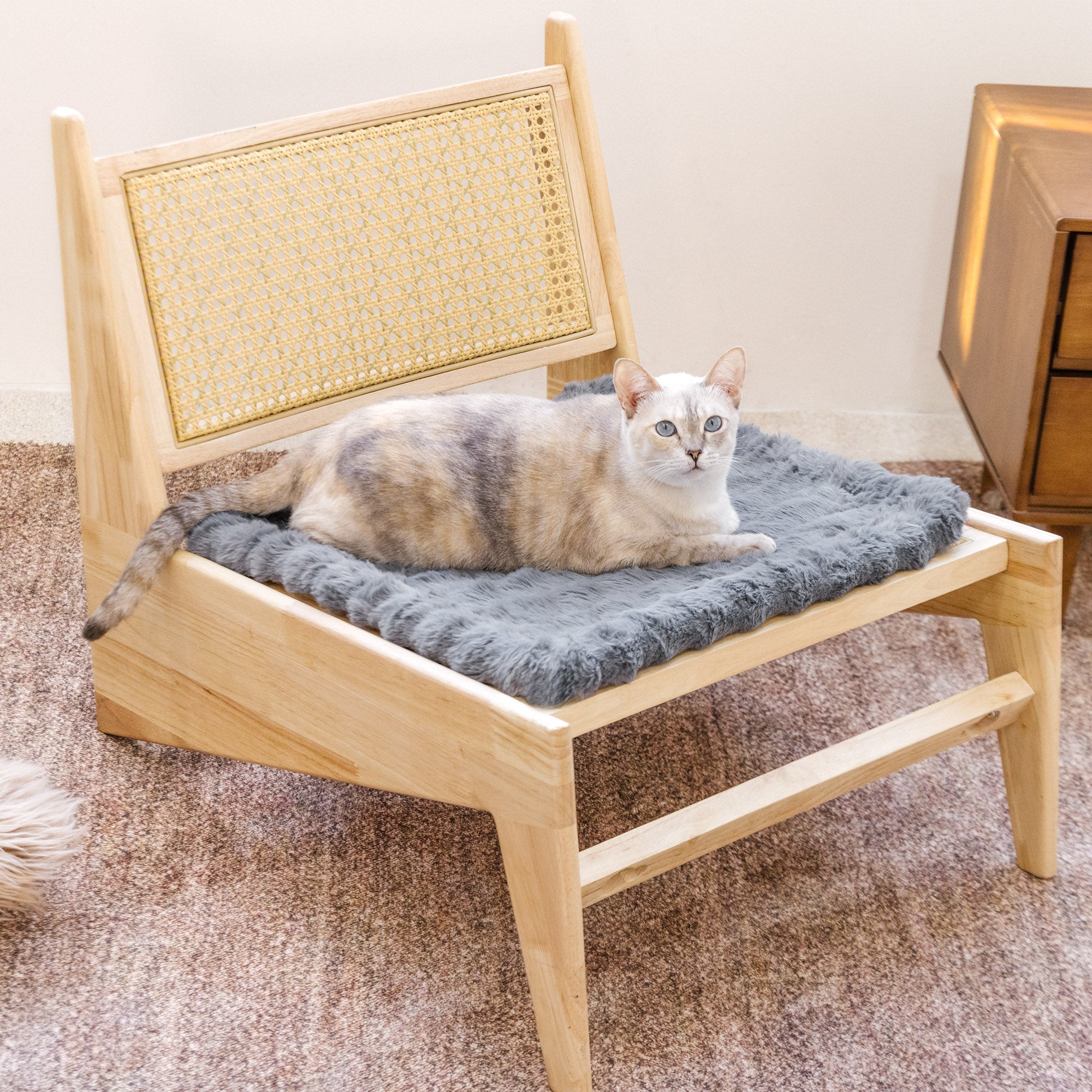 Fluffy Plüsch Kunstpelz Warme Haustiermatte Rutschfeste Couchdecke