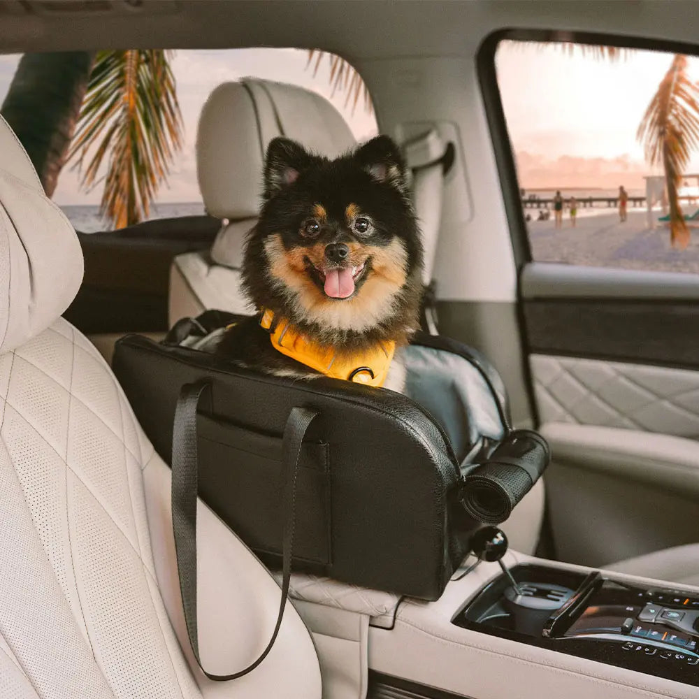 Erhöhter abnehmbarer Autositz für kleine Hunde Sichere Reise auf der Mittelkonsole