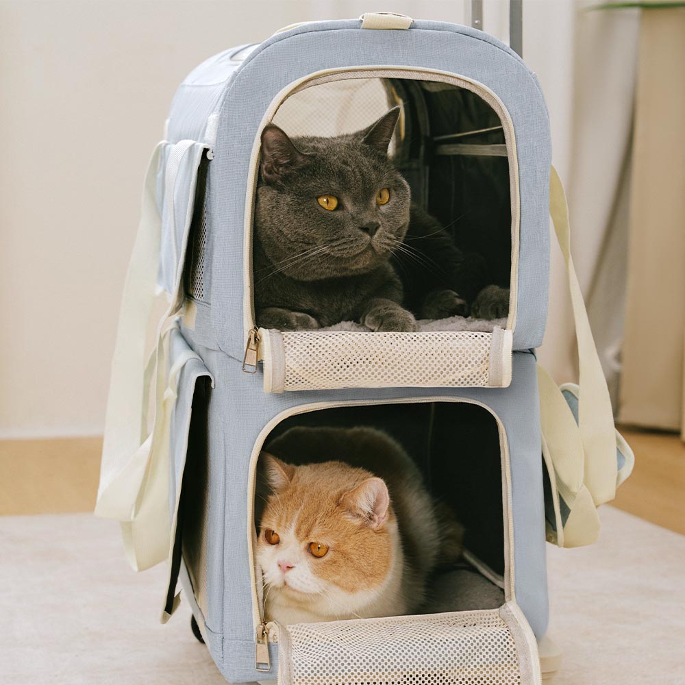 Doppel-Layer Geräumige Mehrkatzen-Reise-Tiertransporttasche mit Rollen